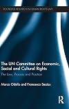 The UN Committee on Economic, Social and Cultural Rights: The Law, Process and Practice (Routledge Research in Human Rights Law)