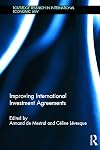 Improving International Investment Agreements (Routledge Research in International Economic Law)