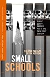 Small Schools: Public School Reform Meets the Ownership Society (Positions: Education, Politics, and Culture)