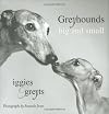 Greyhounds Big and Small: Iggies and Greyts