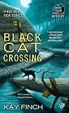 Black Cat Crossing