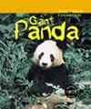 Panda (Animals in Danger)