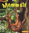Mammals (Animal Young)
