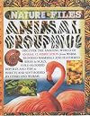 Animal Groupings (Nature Files)