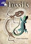 Fossils (Rigby Literacy)