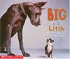 Big and Little (Learning Center Emergent Readers)