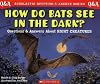 How Do Bats See in the Dark? (Scholastic Q & A)