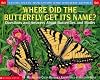 Where Did the Butterfly Get Its Name? (Scholastic Q & A)