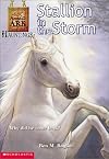 Stallion in the Storm (Animal Ark Hauntings)