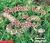 Snakes Live in Grass (Time-to-Discover)