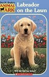 Labrador on the Lawn