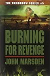 Burning for Revenge