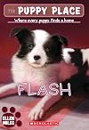 Flash