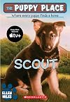 Scout