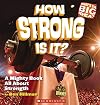 How Strong Is It?