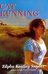 Cat Running