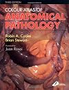 Colour Atlas of Anatomical Pathology