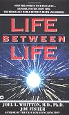 Life Between Life