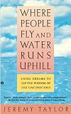 Where People Fly and Water Runs Uphill: Using Dreams to Tap the Wisdom of the Unconscious