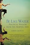 Be Like Water: Practical Wisdom from the Martial Arts