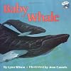 Baby Whale