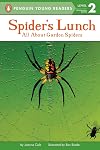 Spider's Lunch: All About Garden Spiders