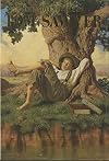 The Adventures of Tom Sawyer (Illustrated Junior Library)