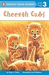 Cheetah Cubs