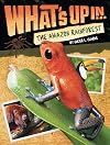 What's Up in the Amazon Rainforest