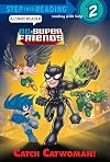 DC Super Friends: Catch Catwoman!