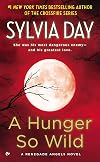A Hunger So Wild: A Renegade Angels Novel