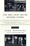 The Way That Water Enters Stone: Stories