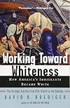 Working Toward Whiteness: How America's Immigrants Became White: The Strange Journey from Ellis Island to the Suburbs