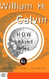 How Brains Think: Evolving Intelligence, Then and Now