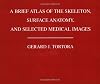 A Brief Atlas of the Skeleton, Surface Anatomy and Selected Medical Images