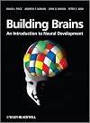 Building Brains: An Introduction to Neural Development