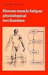 Human muscle fatigue physiological mechanisms