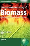 Thermochemical Processing of Biomass: Conversion into Fuels, Chemicals and Power (Wiley Series in Renewable Resource)