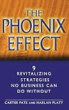 The Phoenix Effect: 9 Revitalizing Strategies No Business Can Do Without