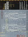 The Measure of Man and Woman: Human Factors in Design