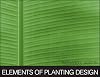 Elements of Planting Design