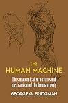 The Human Machine (Dover Anatomy for Artists)