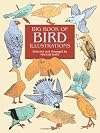 Big Book of Bird Illustrations