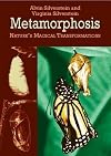 Metamorphosis: The Magic Change