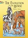 The Evolution of the Horse