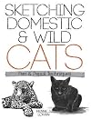 Sketching Cats: Pen and Pencil Techniques
