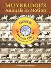 Muybridge's Animals in Motion CD-ROM and Book