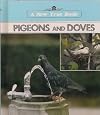 Pigeons and Doves (New True Books: Animals)