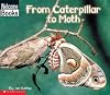 From Caterpillar to Moth (Welcome Books: How Things Grow)