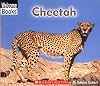 Cheetah (Welcome Books: Animals of the World)